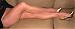 candisheer's Profile Picture