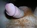gibsonman_1968's Profile Picture